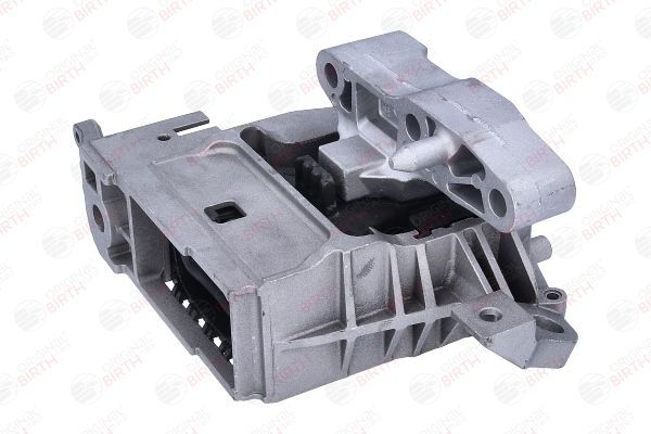 Variklio montavimas BIRTH 57149