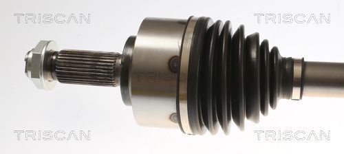 Pusašis TRISCAN 8540 23568