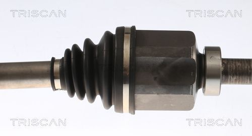 Pusašis TRISCAN 8540 23568