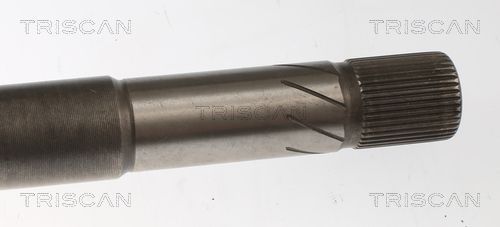 Pusašis TRISCAN 8540 23568