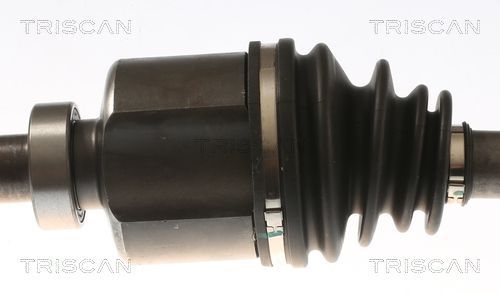 Pusašis TRISCAN 8540 23570