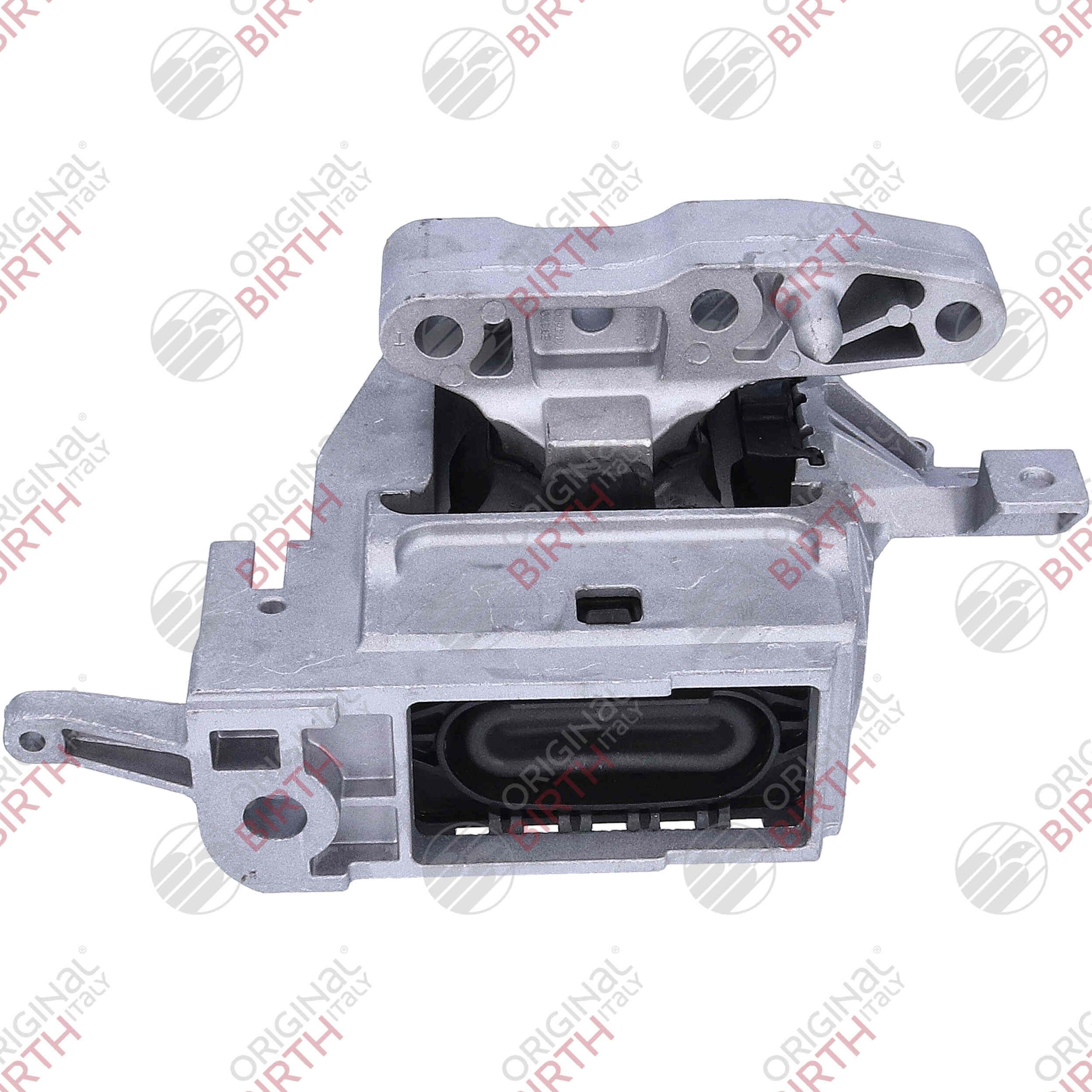 Variklio montavimas BIRTH 57163