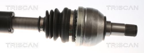 Pusašis TRISCAN 8540 23573