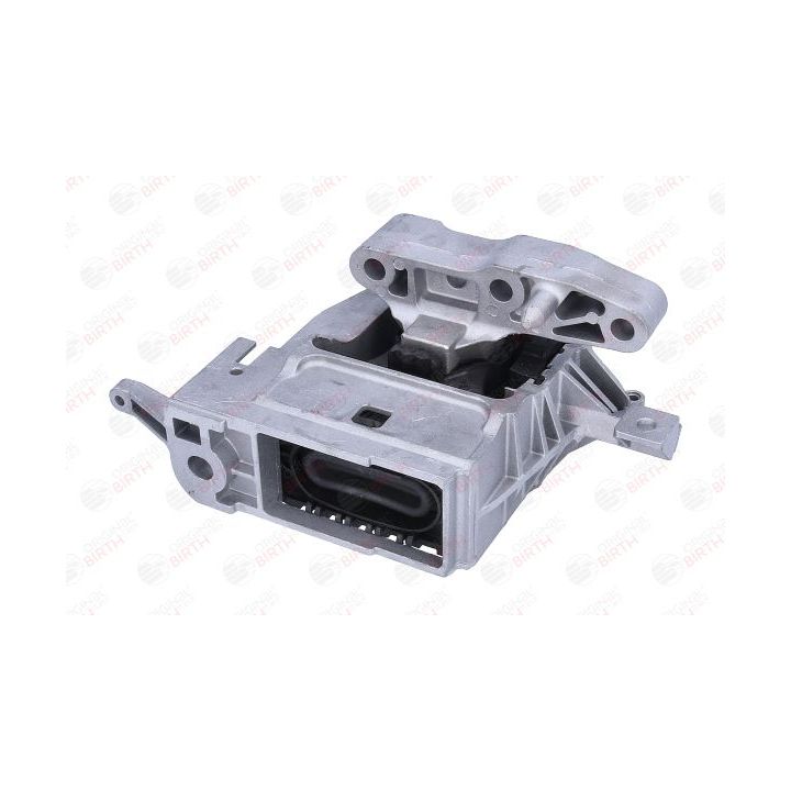 Variklio montavimas BIRTH 57163