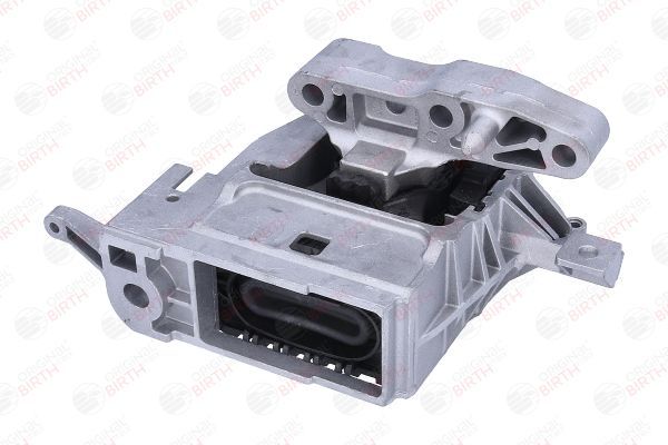 Variklio montavimas BIRTH 57163