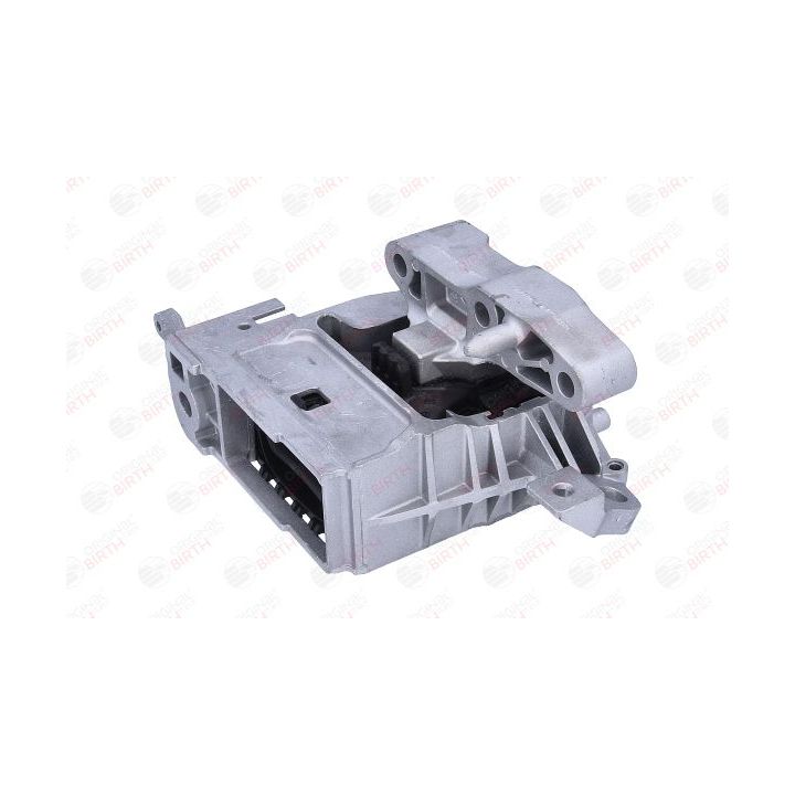 Variklio montavimas BIRTH 57163