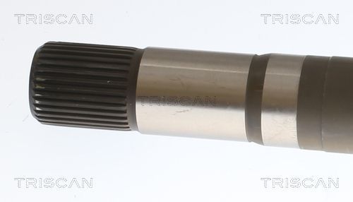 Pusašis TRISCAN 8540 23584