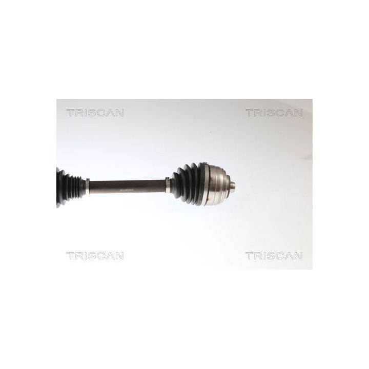 Pusašis TRISCAN 8540 23584