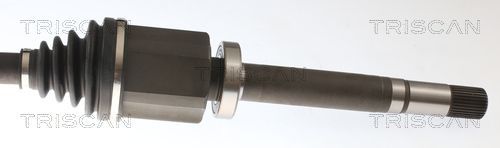 Pusašis TRISCAN 8540 23588