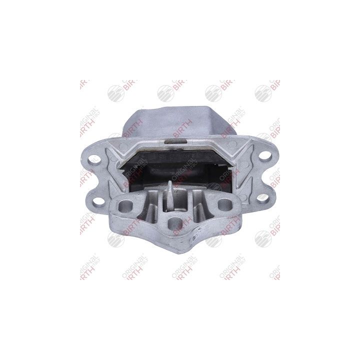 Variklio montavimas BIRTH 57177