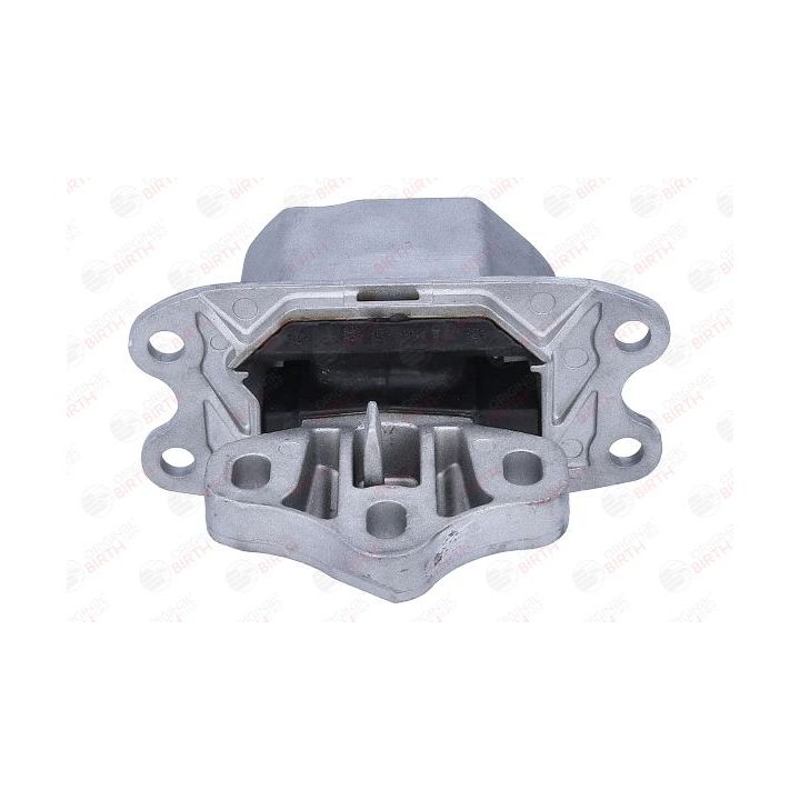 Variklio montavimas BIRTH 57177