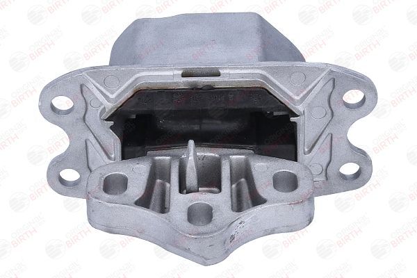 Variklio montavimas BIRTH 57177