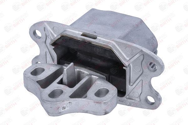 Variklio montavimas BIRTH 57177