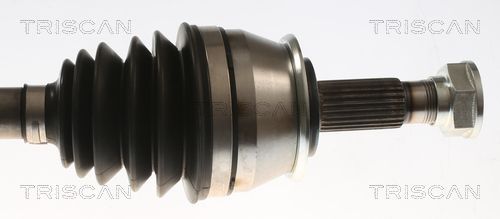 Pusašis TRISCAN 8540 24616