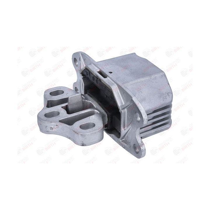 Variklio montavimas BIRTH 57177