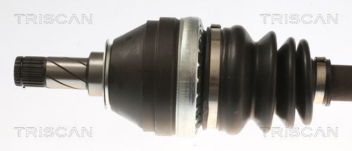 Pusašis TRISCAN 8540 24619