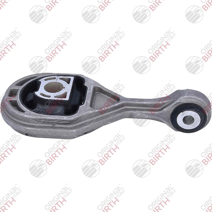 Variklio montavimas BIRTH 57182