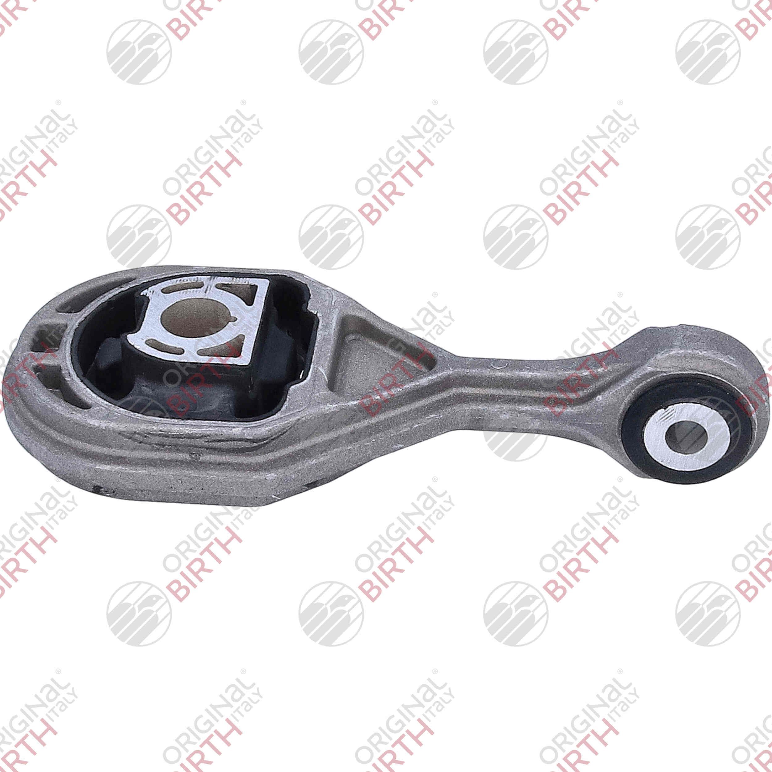 Variklio montavimas BIRTH 57182