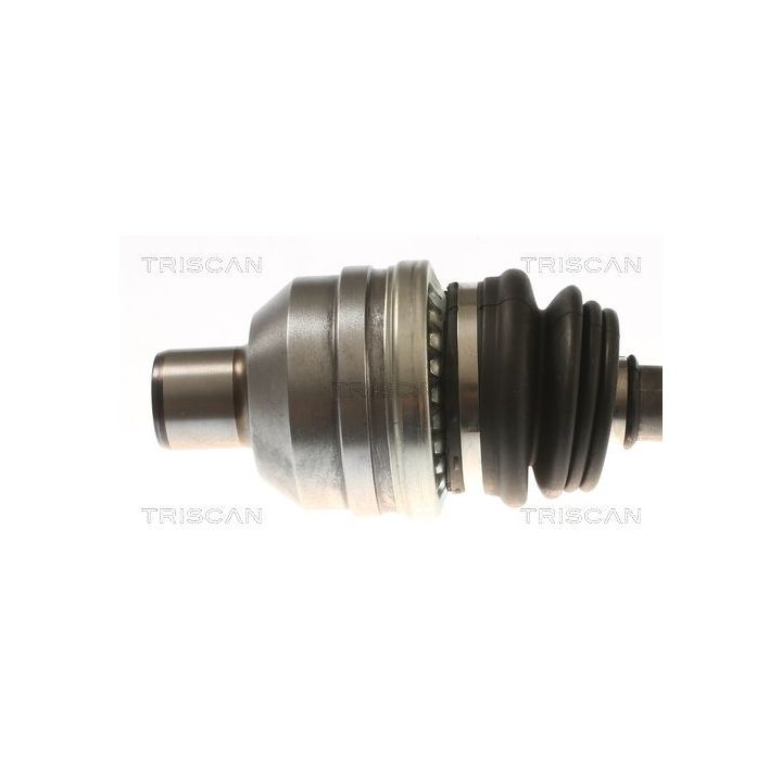 Pusašis TRISCAN 8540 24620