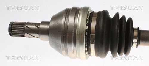 Pusašis TRISCAN 8540 24621