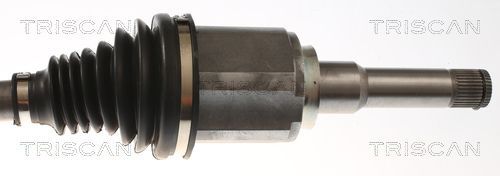 Pusašis TRISCAN 8540 24623