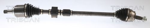 Pusašis TRISCAN 8540 24624