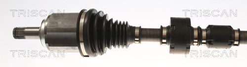 Pusašis TRISCAN 8540 24624
