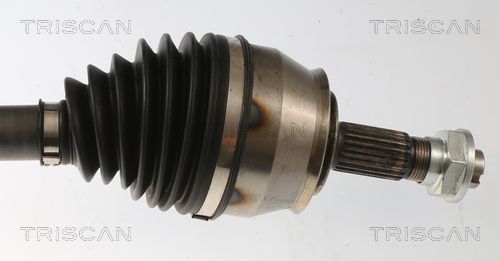 Pusašis TRISCAN 8540 24624