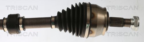 Pusašis TRISCAN 8540 24625