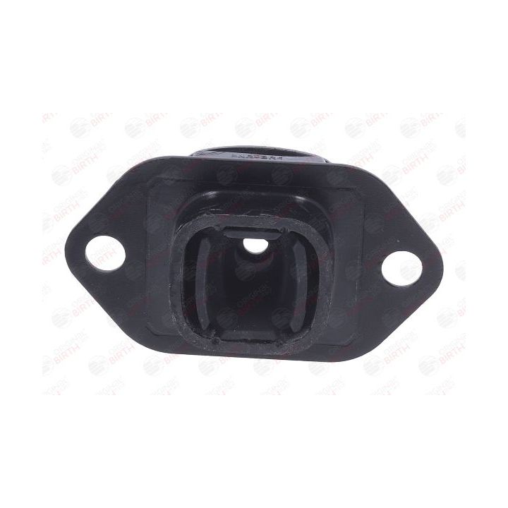 Variklio montavimas BIRTH 57195