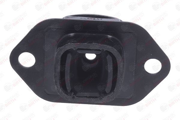 Variklio montavimas BIRTH 57195