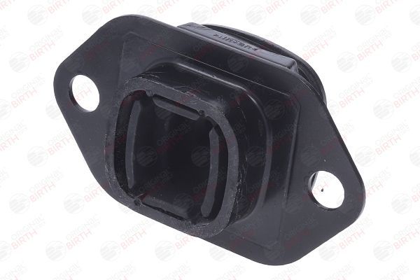 Variklio montavimas BIRTH 57195