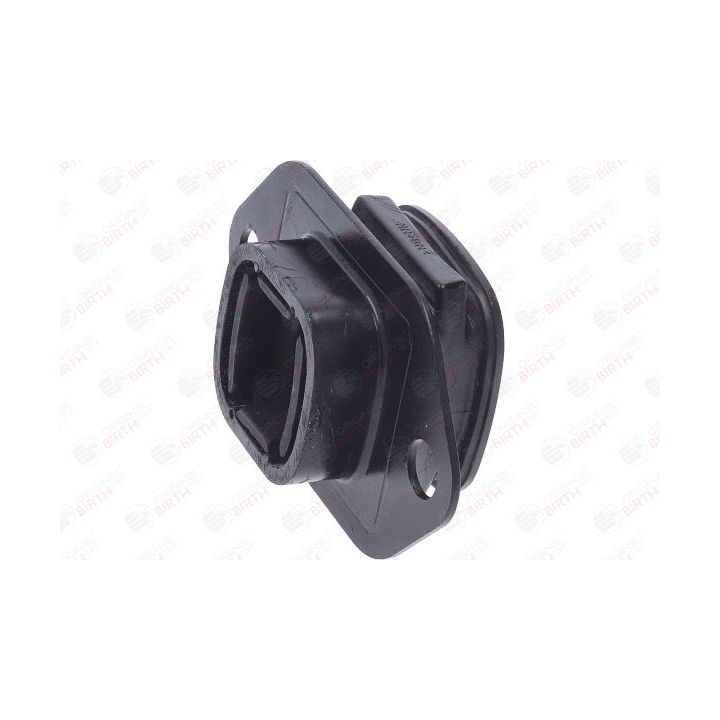 Variklio montavimas BIRTH 57195