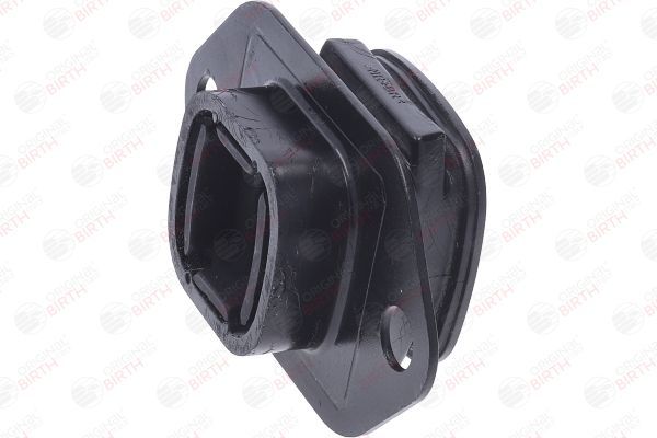 Variklio montavimas BIRTH 57195