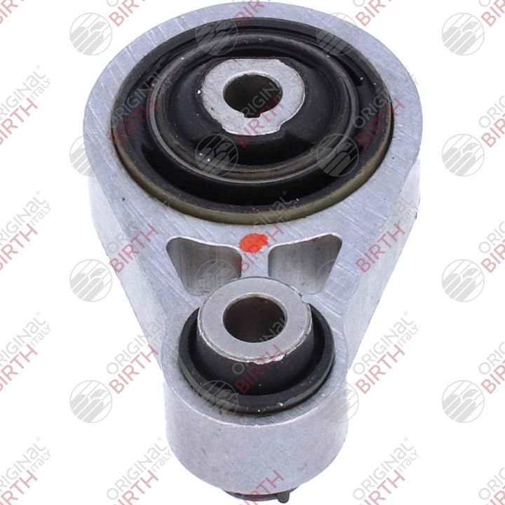 Variklio montavimas BIRTH 57202