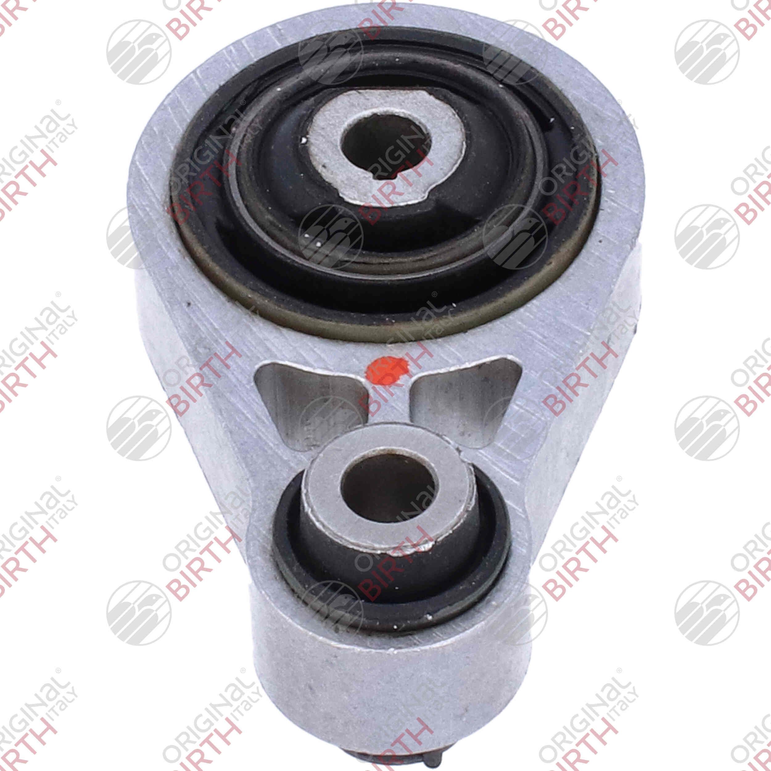 Variklio montavimas BIRTH 57202