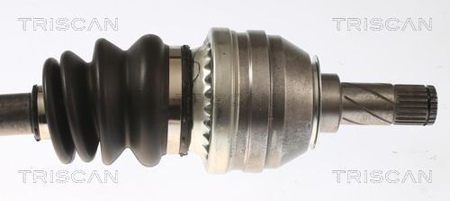 Pusašis TRISCAN 8540 24627