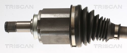 Pusašis TRISCAN 8540 24628