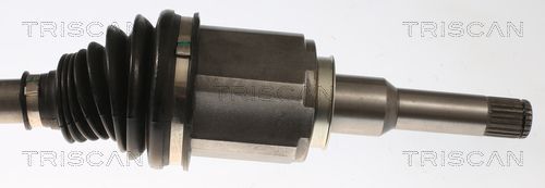 Pusašis TRISCAN 8540 24629