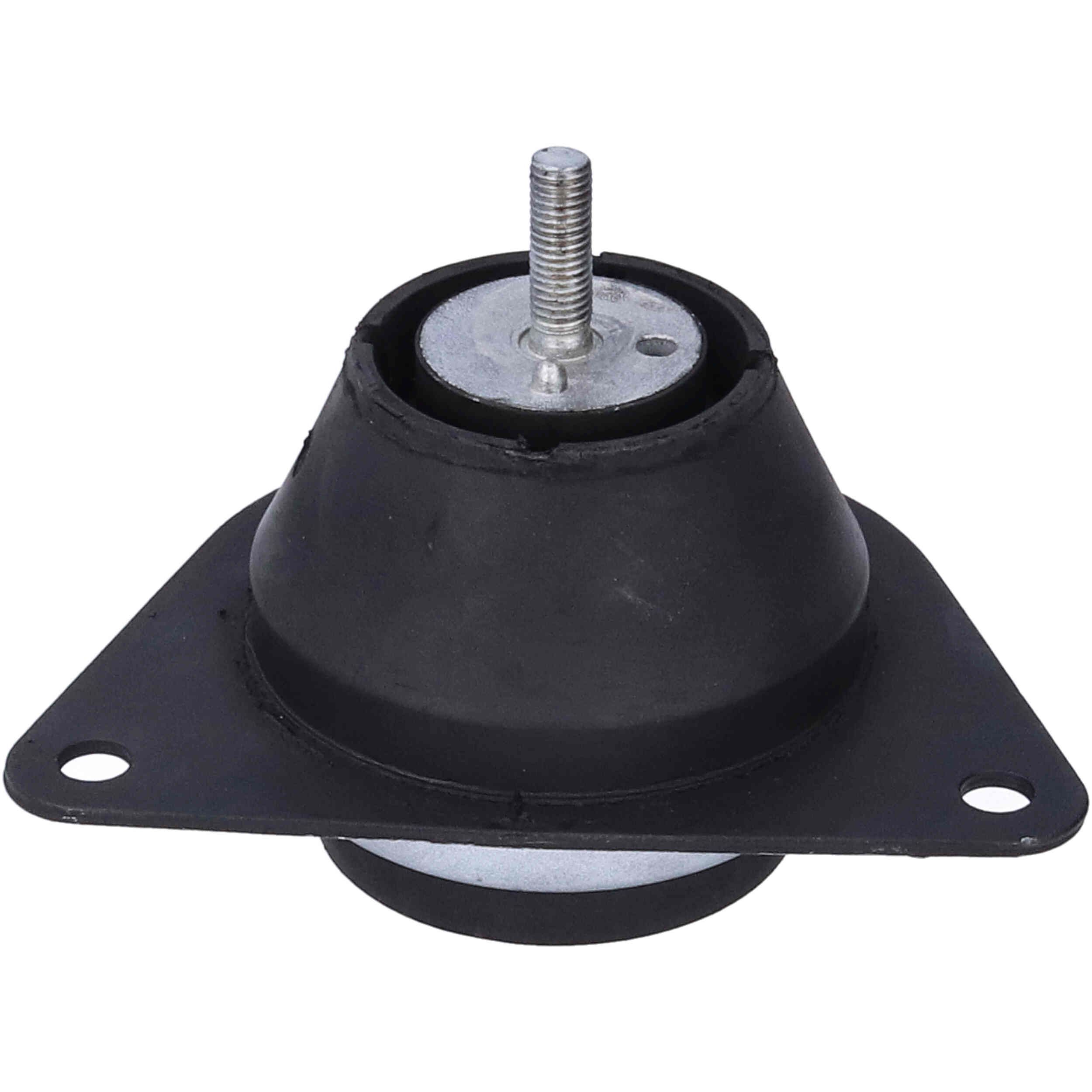 Variklio montavimas BIRTH 57214