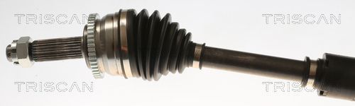 Pusašis TRISCAN 8540 24630