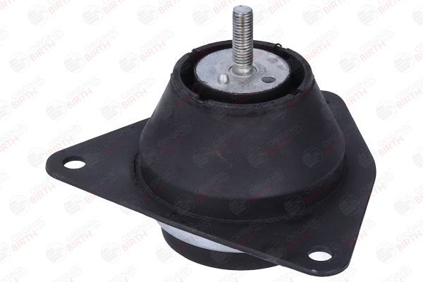 Variklio montavimas BIRTH 57214