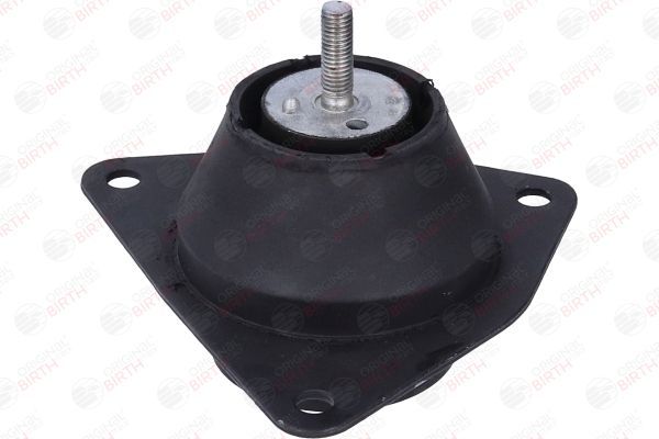 Variklio montavimas BIRTH 57214