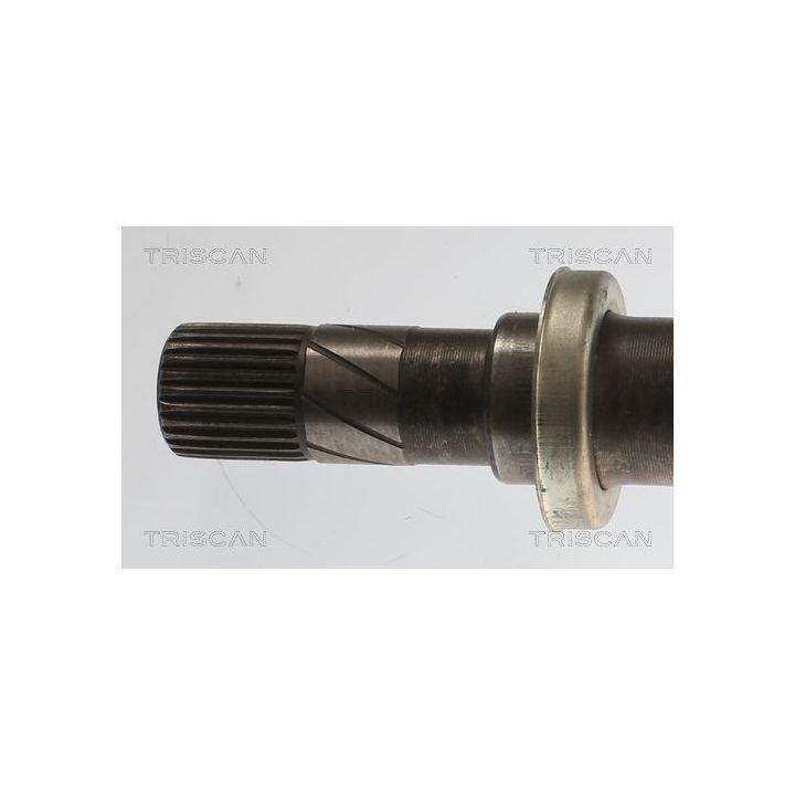 Pusašis TRISCAN 8540 25722