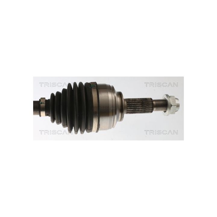Pusašis TRISCAN 8540 25722