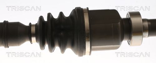 Pusašis TRISCAN 8540 25724