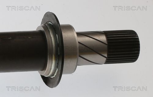 Pusašis TRISCAN 8540 25724