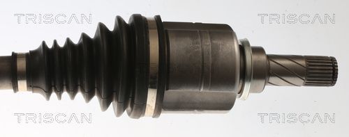 Pusašis TRISCAN 8540 25725