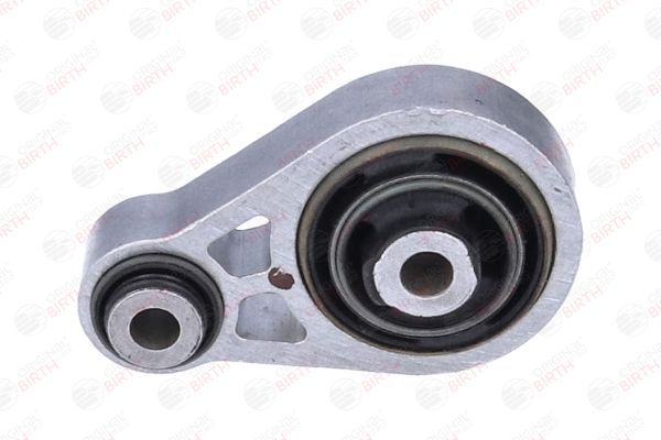 Variklio montavimas BIRTH 57219