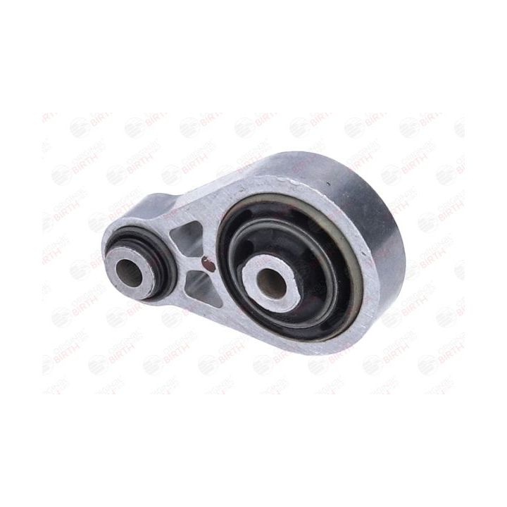 Variklio montavimas BIRTH 57219